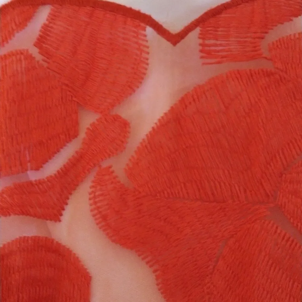 C. Luce Embroidered Dress Cottagecore - Picture 10 of 11